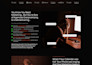 do modern, responsive wordpress website design  world level
